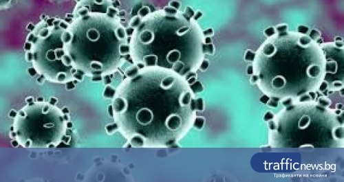 Pokazaha Kak Izglezhda Byal Drob Zasegnat Ot Koronavirus Trafficnews Bg Trafficnews Bg